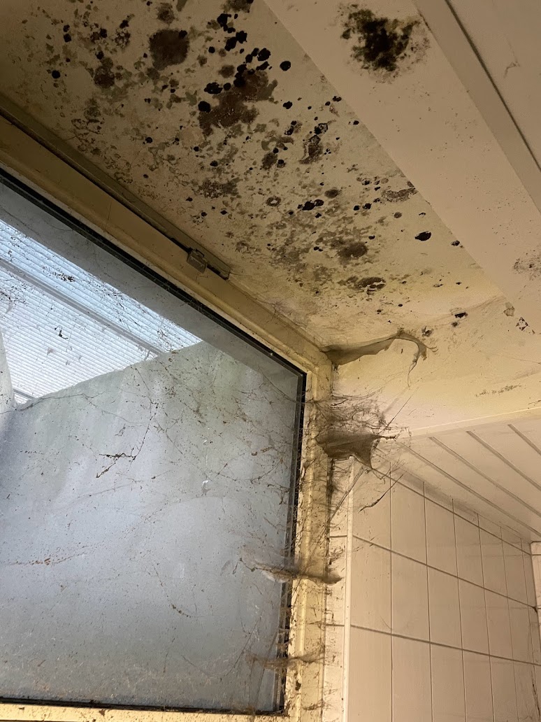 peneszmentesites ozonnal